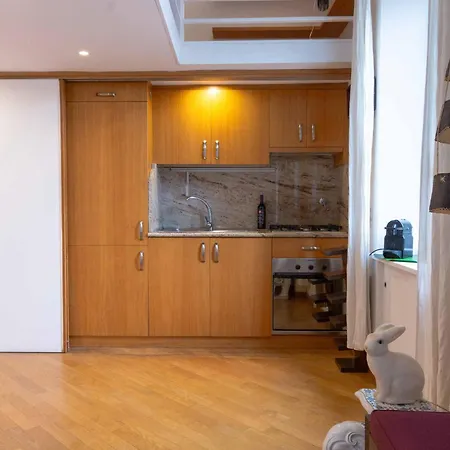 Apartment Domus Caroli In Vaticano Rome